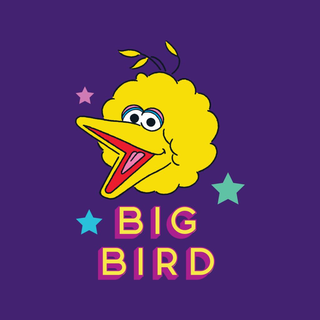 Sesame Street Big Bird Stars Women's Hooded Sweatshirt product image 7
