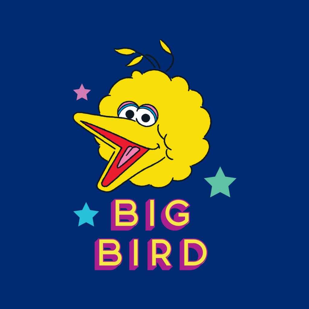 Sesame Street Big Bird Stars Men's Hooded Sweatshirt product image 5