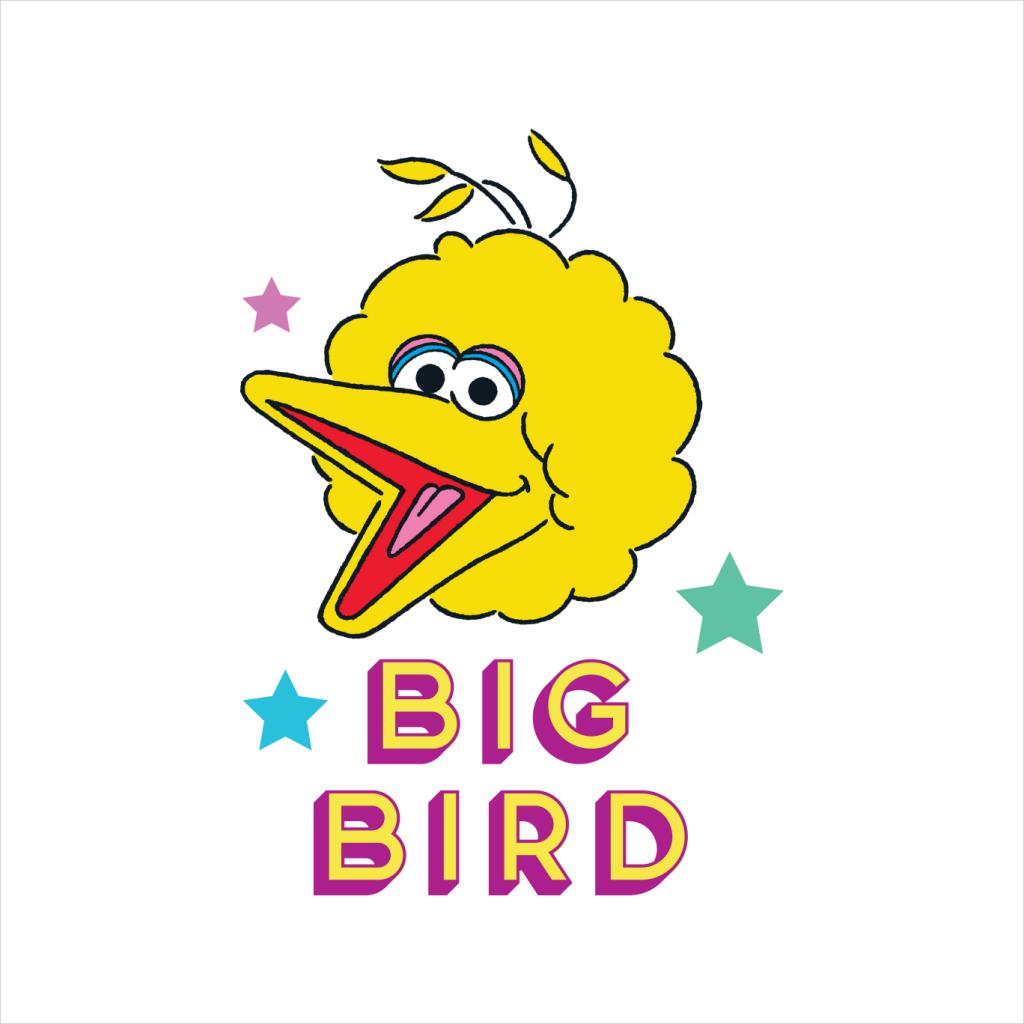 Sesame Street Big Bird Stars Men's Sweatshirt product image 2